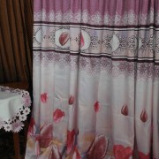 sam_0561