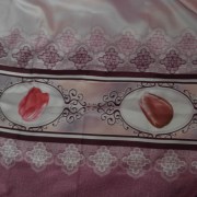 sam_0565