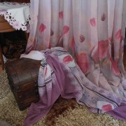 sam_05709