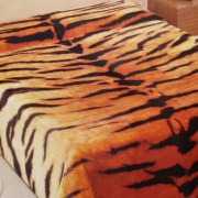sam_0601