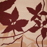 sam_0869