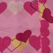 sam_08941