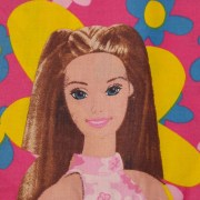 sam_0910