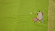 sam_0918
