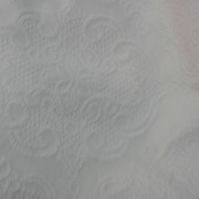 sam_1001