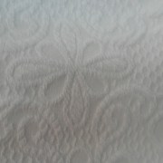sam_10047