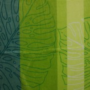 sam_10066