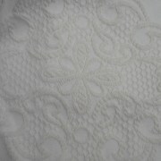 sam_1008