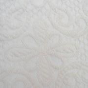 sam_1009