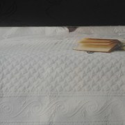 sam_1016