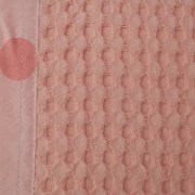 sam_1060