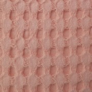 sam_1061