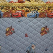 sam_1067