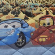 sam_10707