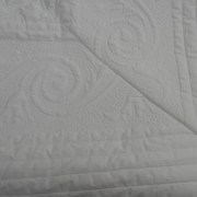 sam_1073