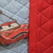 sam_1077
