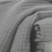 sam_1082