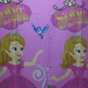 sam_1195