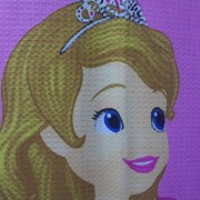 sam_1199