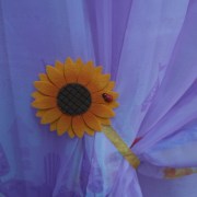 sam_1637