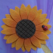 sam_1638