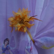 sam_1641