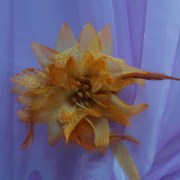 sam_1642