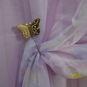 sam_1648