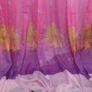 sam_1665