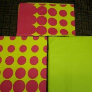 sam_3041