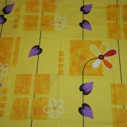 sam_3070
