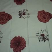 sam_3077