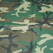 sam_3079