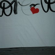 sam_3093