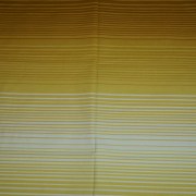 sam_31199