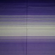 sam_31257