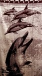 th-143-petseta-thalassis